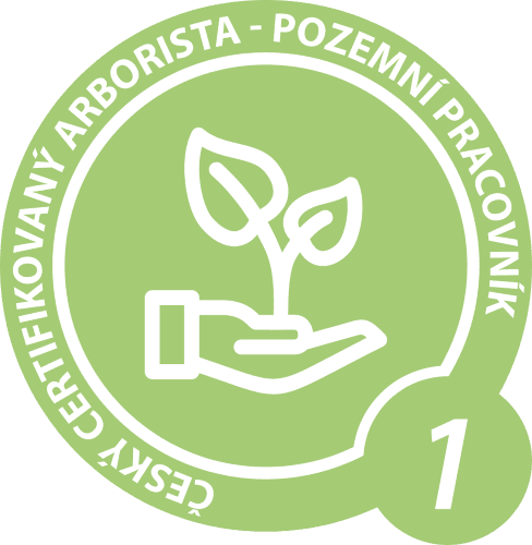 CCA1
